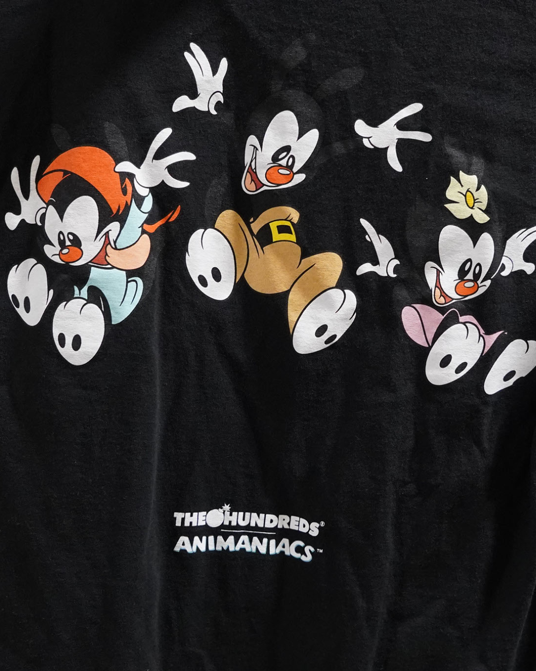 ANIMANIACS - THE HUNDREDS